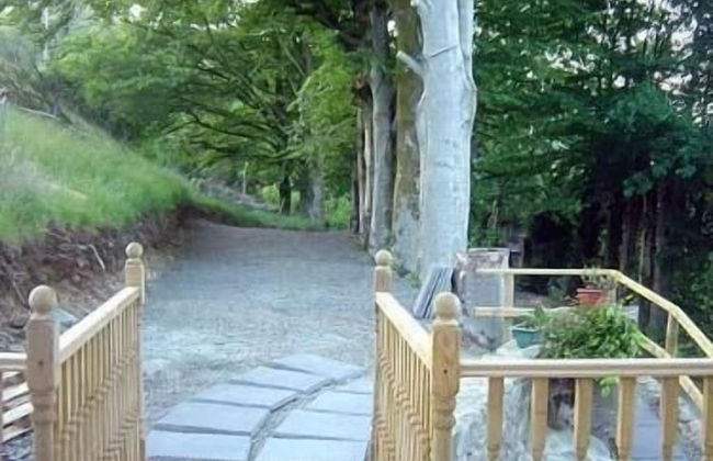 Rock Mill - Foto 15