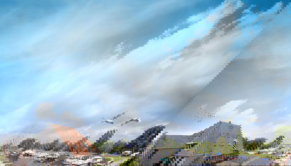 Imagem principal