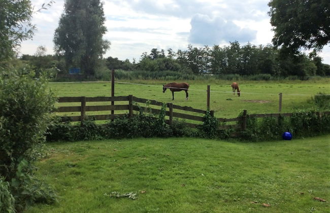 Recreatiebedrijf De Koevoet - Foto 46