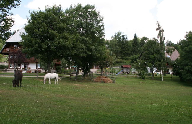 Historisches Ferienhaus im Schwarzwald - Foto 26