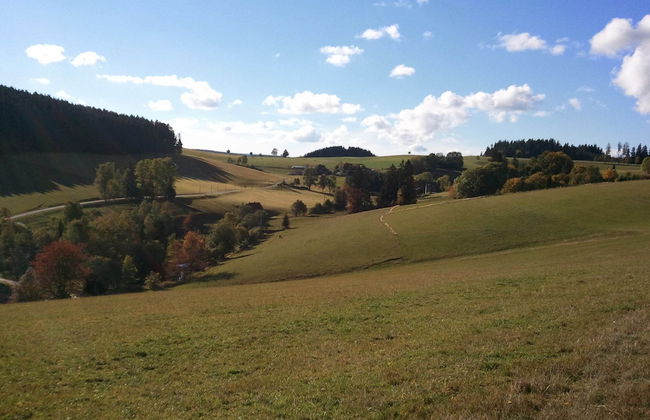 Historisches Ferienhaus im Schwarzwald - Foto 38