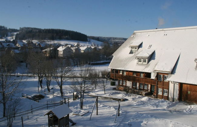Historisches Ferienhaus im Schwarzwald - Foto 28