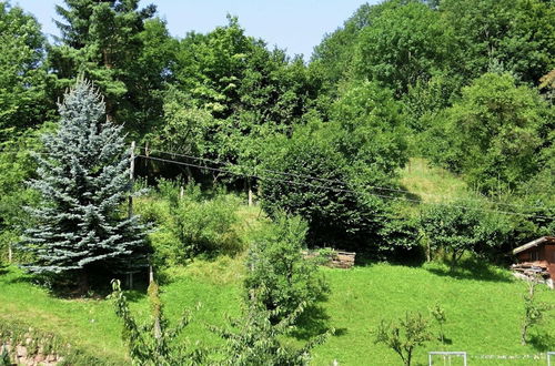 Photo 39 - Holiday Home in the Thuringian Forest