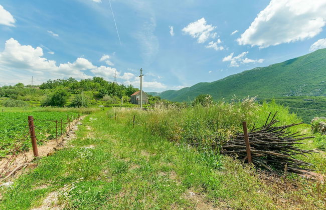 House Cattleya - Foto 34