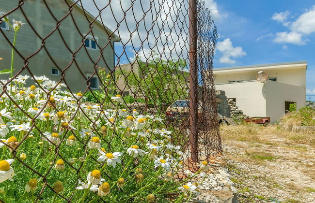 House Cattleya - Foto 23