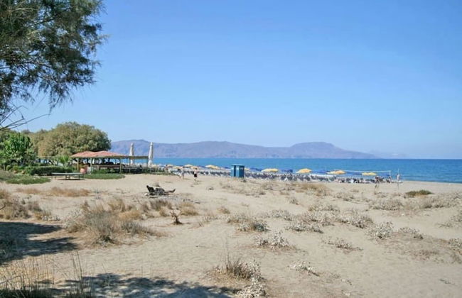 Olive Tree Farm - Foto 34