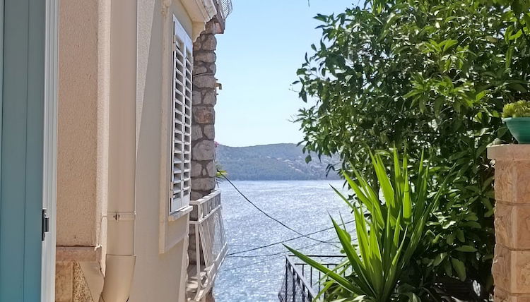 Foto 1 - Villa Roza