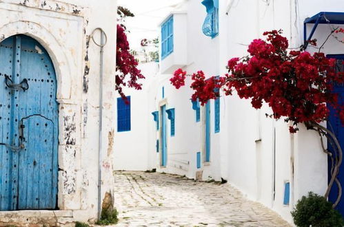 Photo 20 - Cosy S3 At Sidi Bou Said Village