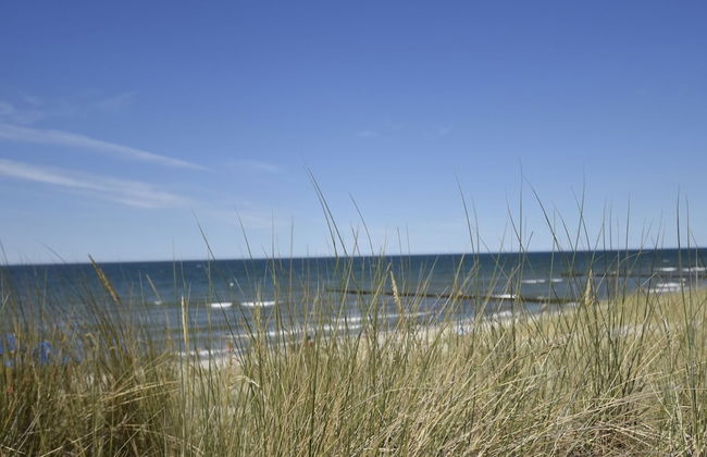 Holiday Home With Terrace in Graal-muritz - Foto 12