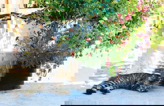 Photo 3 - Loutsa Villa in Ithaki