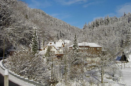 Photo 26 - Comfy Apartment in Oppenau near Black Forest National Park