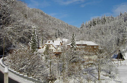 Photo 22 - Comfy Apartment in Oppenau near Black Forest National Park