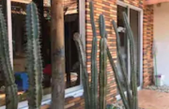 Cabaña Refugio del Mar - Foto 14