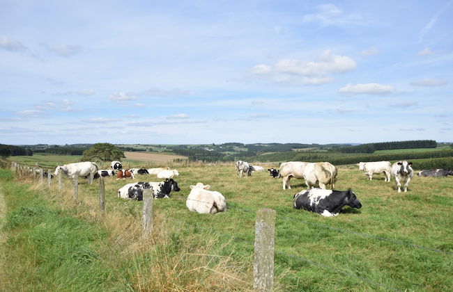 Cottage in Ardennes With Heated Pool - Foto 42