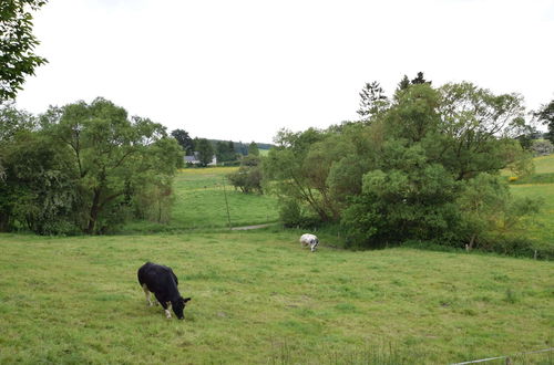 Foto 28 - Country House in the Ardennes With Schwimmbad