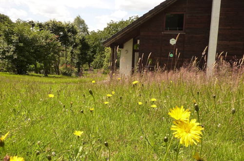 Photo 27 - Pleasant Chalet on the Heights of Malmedy