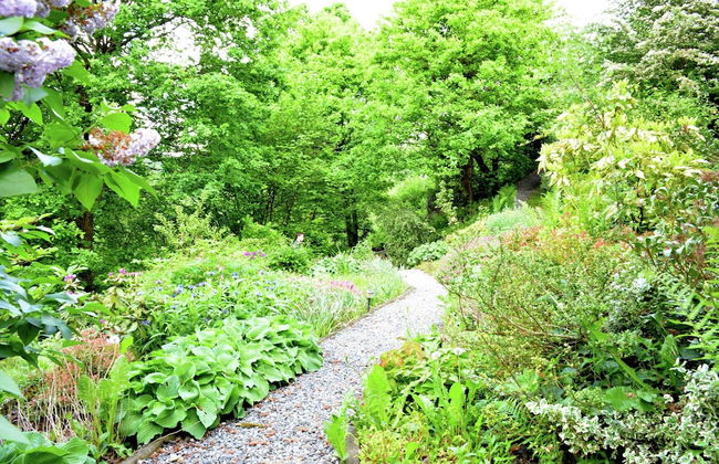 Forest Retreat in Bouillon - Foto 35
