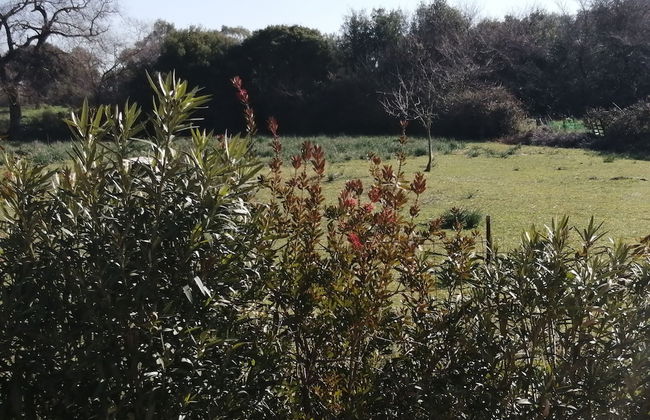 Helen's family home - Foto 34