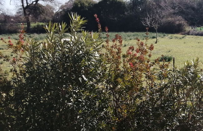 Helen's family home - Foto 45