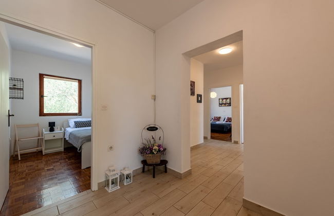 Villa Pine Zadarvillas - Photo 48