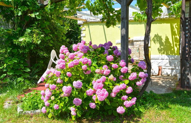 Apartment 498 - Foto 44
