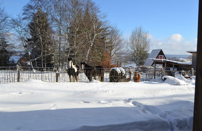 Ferien Bei Freunden Im Holzhaus - Foto 16