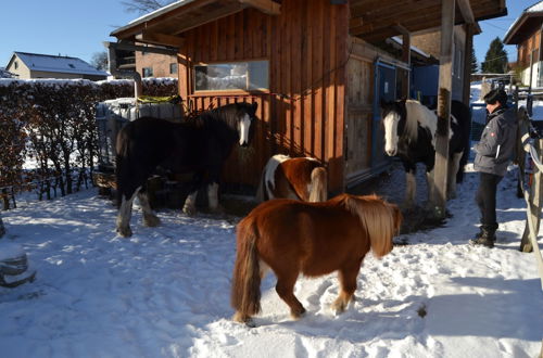 Photo 13 - Ferien Bei Freunden Im Holzhaus