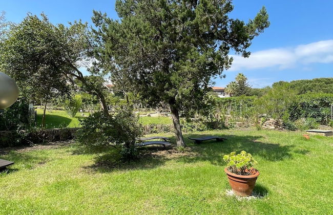 Baia Sardinia - Villa Rose With 3 Rooms - Independent 10 - Photo 22