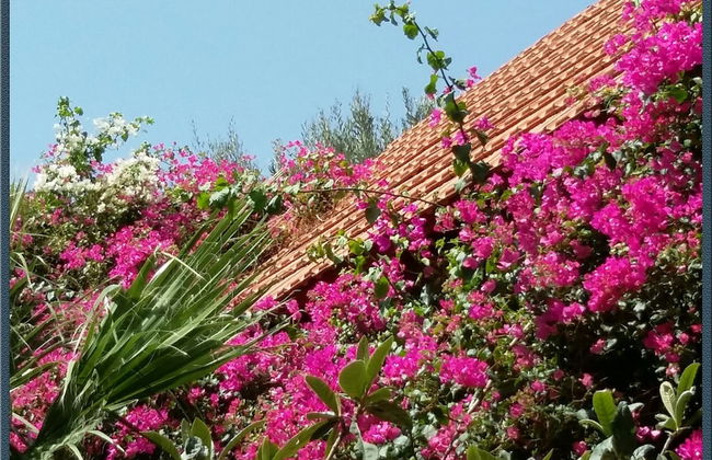 Exclusive Cottages in a Quiet Oliverove Near the sea - Photo 13