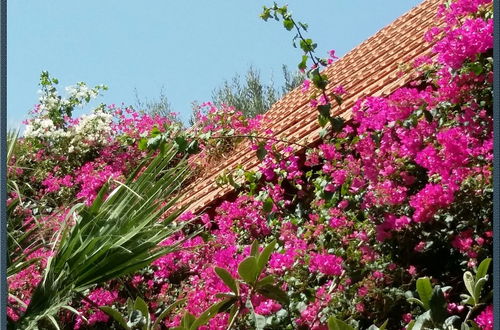 Photo 13 - Exclusive Cottages in a Quiet Oliverove Near the sea