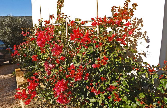 Agriturismo Monaci Templari - Foto 42