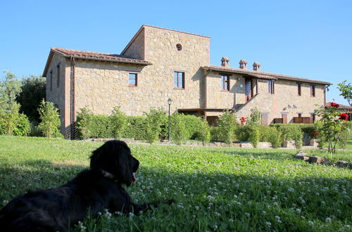 Photo 65 - Tenuta di Forte Sorgnano