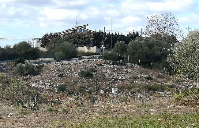 Villa Belvedere - Foto 21