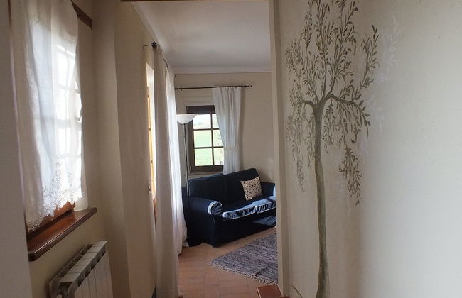 Fonte Pecciano 1856 - Foto 13