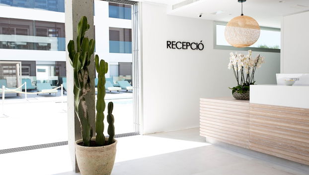 Receção