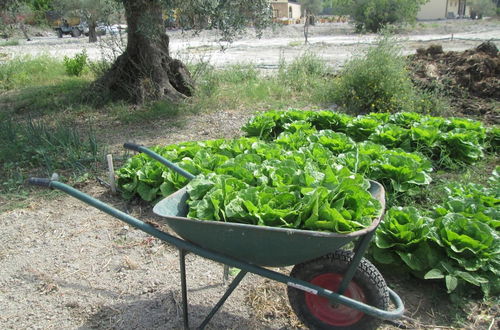 Photo 31 - Agriturismo Donna Beatrice