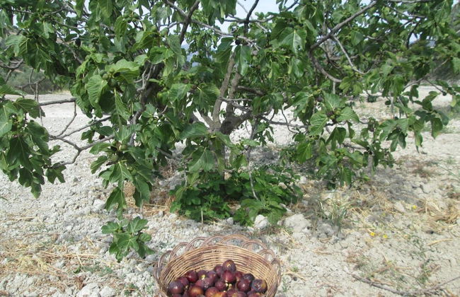 Agriturismo Donna Beatrice - Foto 38