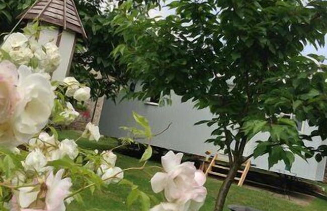 Posh Huts - Foto 24