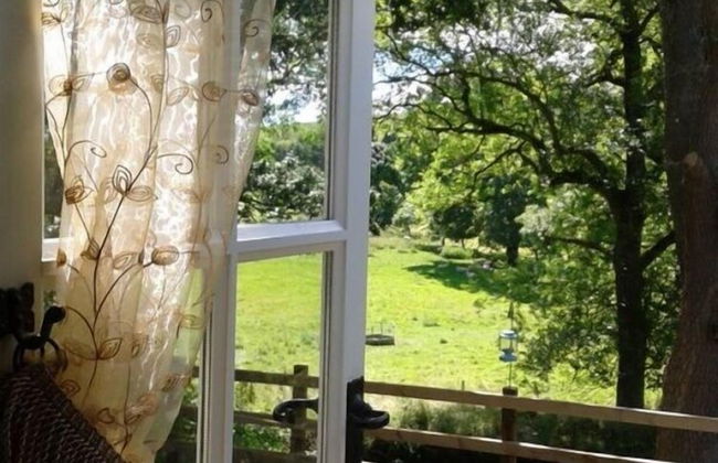 Posh Huts - Foto 14