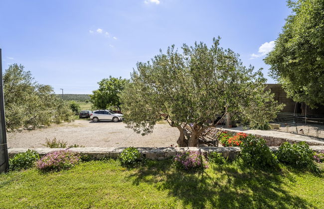 Villa Laurana - Foto 26