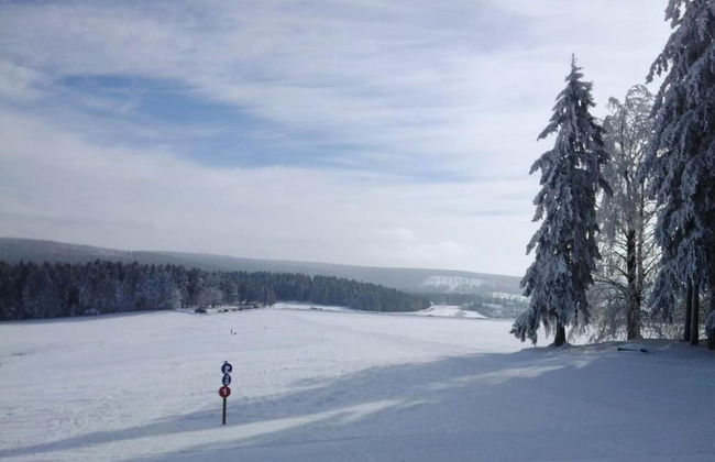 Apartment in Schnett Near the ski Area - Foto 38