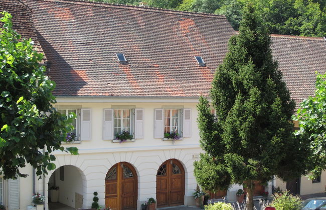 La Maison des Fontaines D'alsace - Foto 35