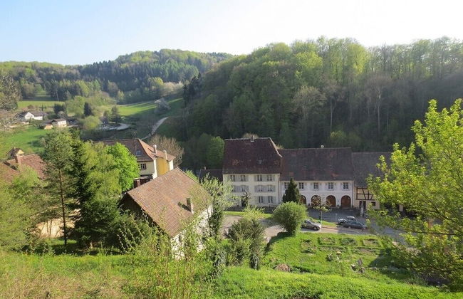 La Maison des Fontaines D'alsace - Foto 38