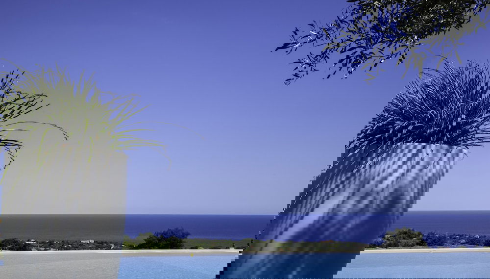 Imagem principal