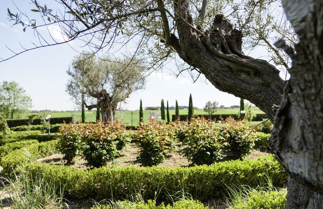 Podere San Giuseppe - Foto 28