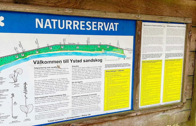 4 Person Holiday Home in Ystad - Photo 4