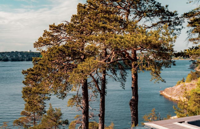 Most Luxurious 5-bed Villa in Boo Stockholm - Foto 14