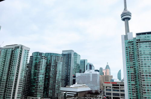 Photo 31 - Room near Blue Jays CN Tower