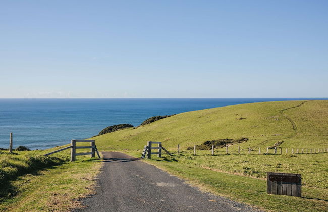 Ocean Farm - Photo 16
