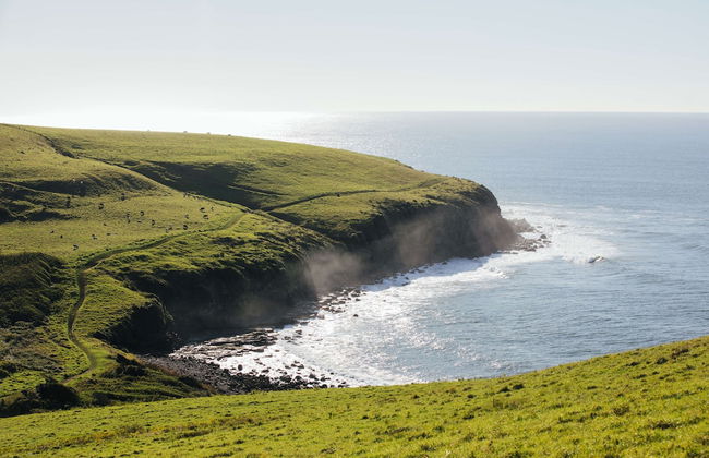 Ocean Farm - Photo 20